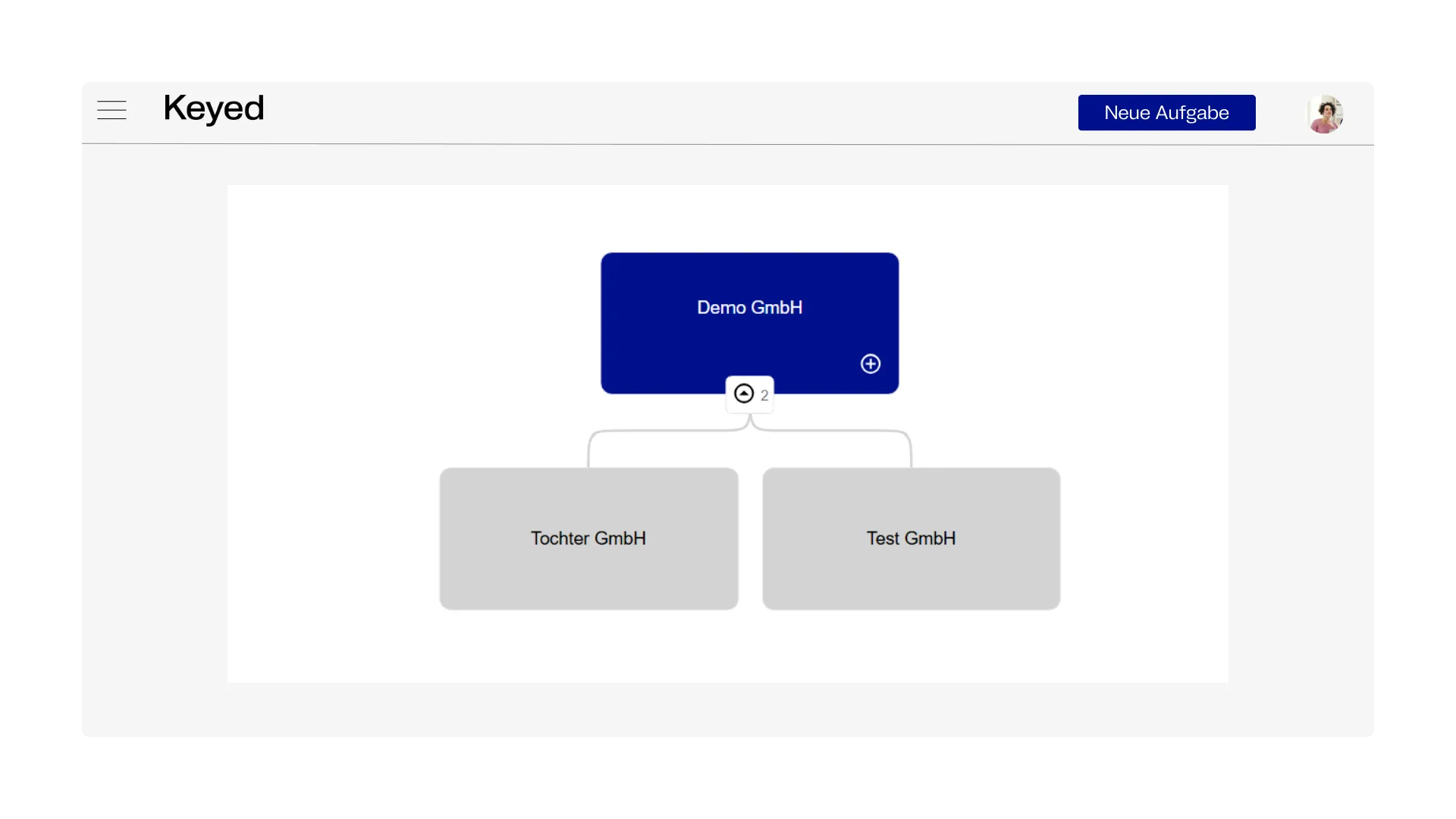 Company Structure DSMS